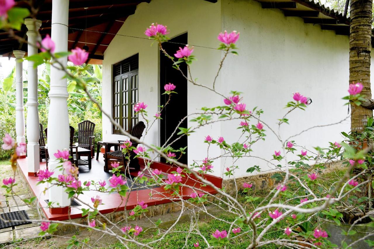 Bay Hill Guest House Tangalle Exterior foto